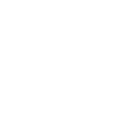 Fecha de Llegada